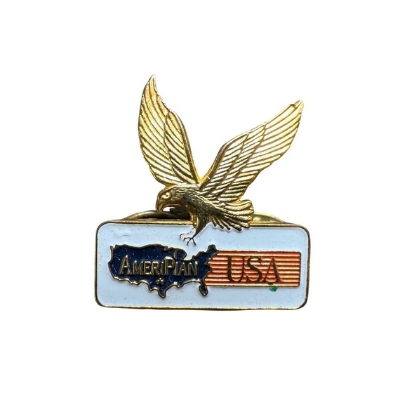 AmeriPlan USA Vintage Gold Tone Eagle Pin - Picture 1 of 4